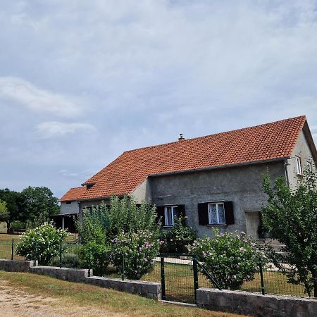 Apartman Lana Kijevo Kültér fotó